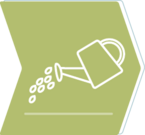 Projektunterhaltung, Projektpflege