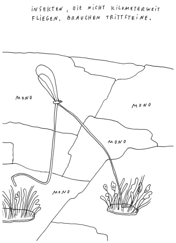 Graphical Recording Biotopverbund | Quelle: Johanna Brenz