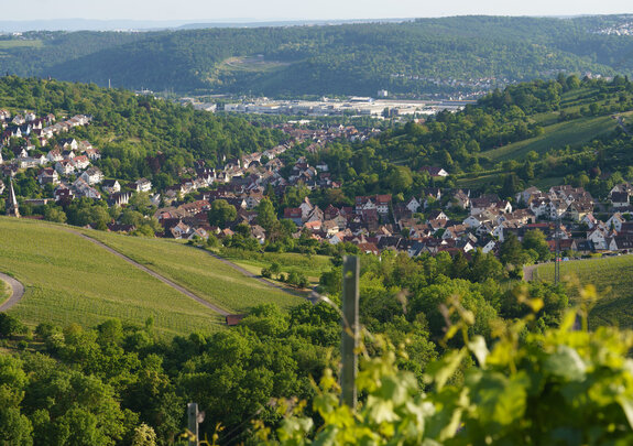 Weinbaulandschaft mit Industrie im Neckartal (Region Stuttgart) | Quelle: streamio
