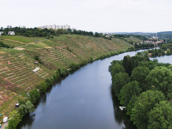 Neckartal bei Stuttgart | Quelle: streamio