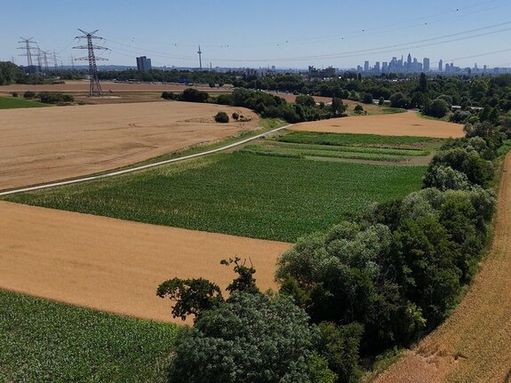 Talzug Sulzbach | Quelle: streamio